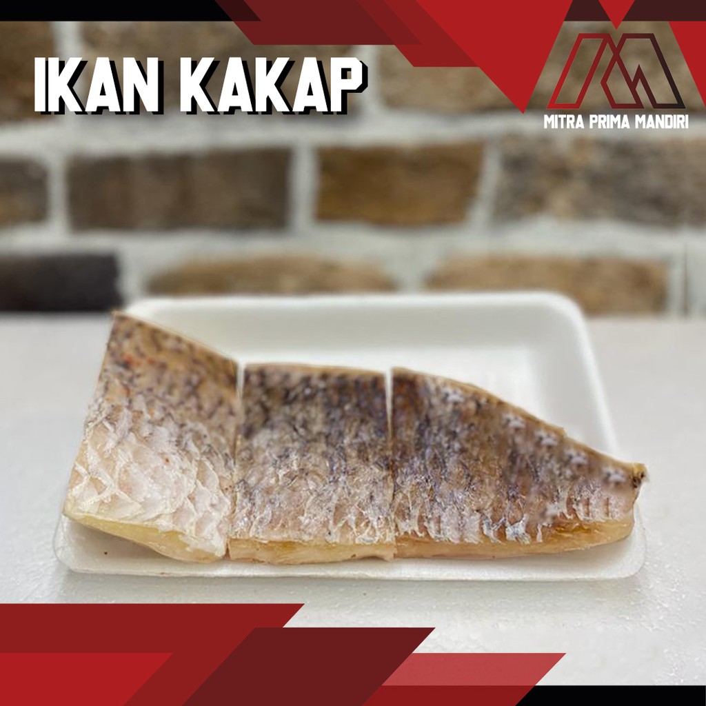 Jual Ikan Ikan Kakap Putih Barramundi Shopee Indonesia