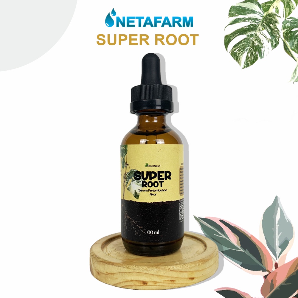Jual Serum Super Root untuk Pertumbuhan Akar 60ml - 1pcs | Shopee Indonesia