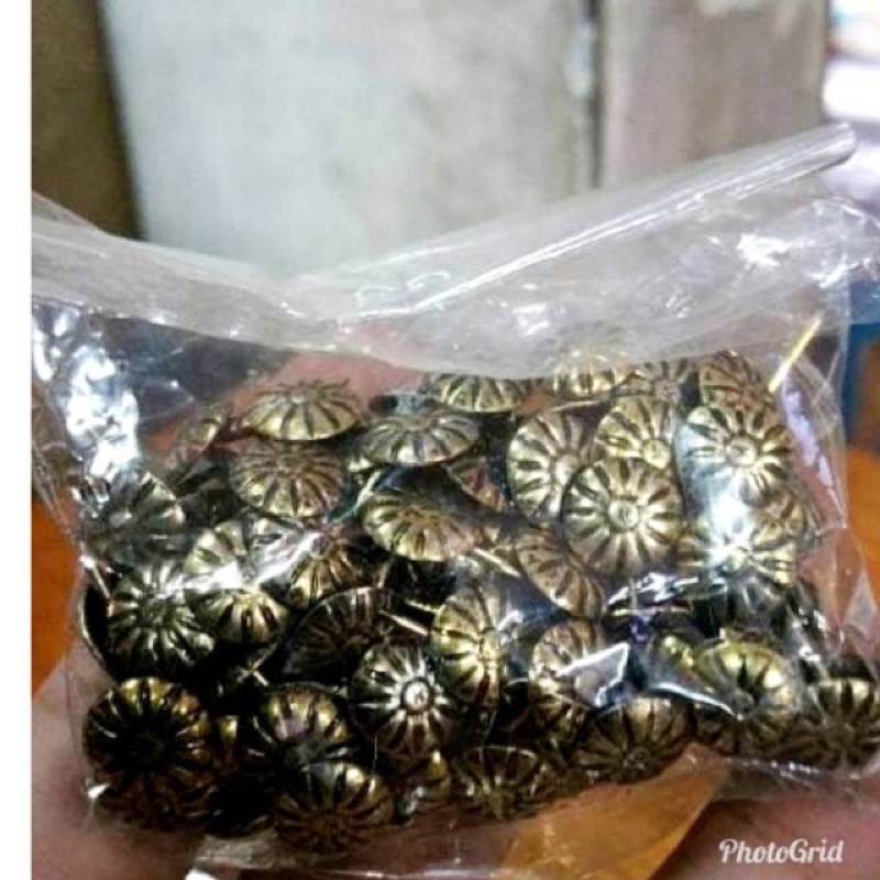 Jual Paku antik isi 100 pcs | Shopee Indonesia
