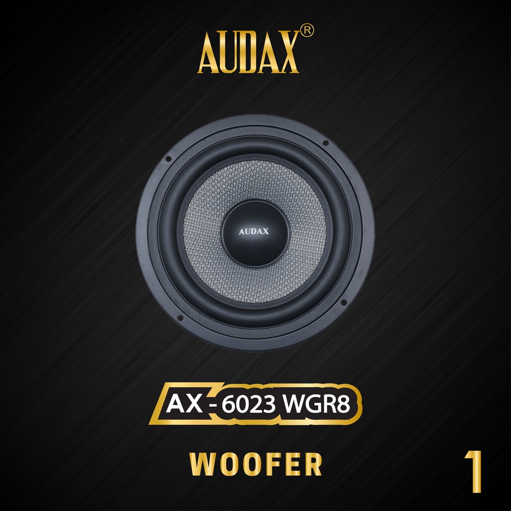 Jual Audax Speaker Pasif Audax Ax Wgr Woofer Mk Ii Shopee