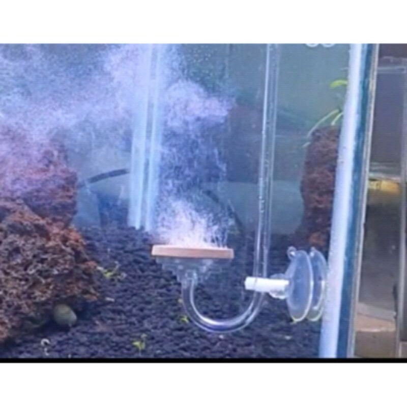 Jual ULTIMA DIFFUSER CO2 SIZE XL/ Diffuser Co2 Diy / Diffuser Co2 ...