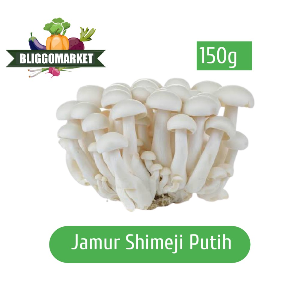 Jual JAMUR SHIMEJI PUTIH PACK Shopee Indonesia