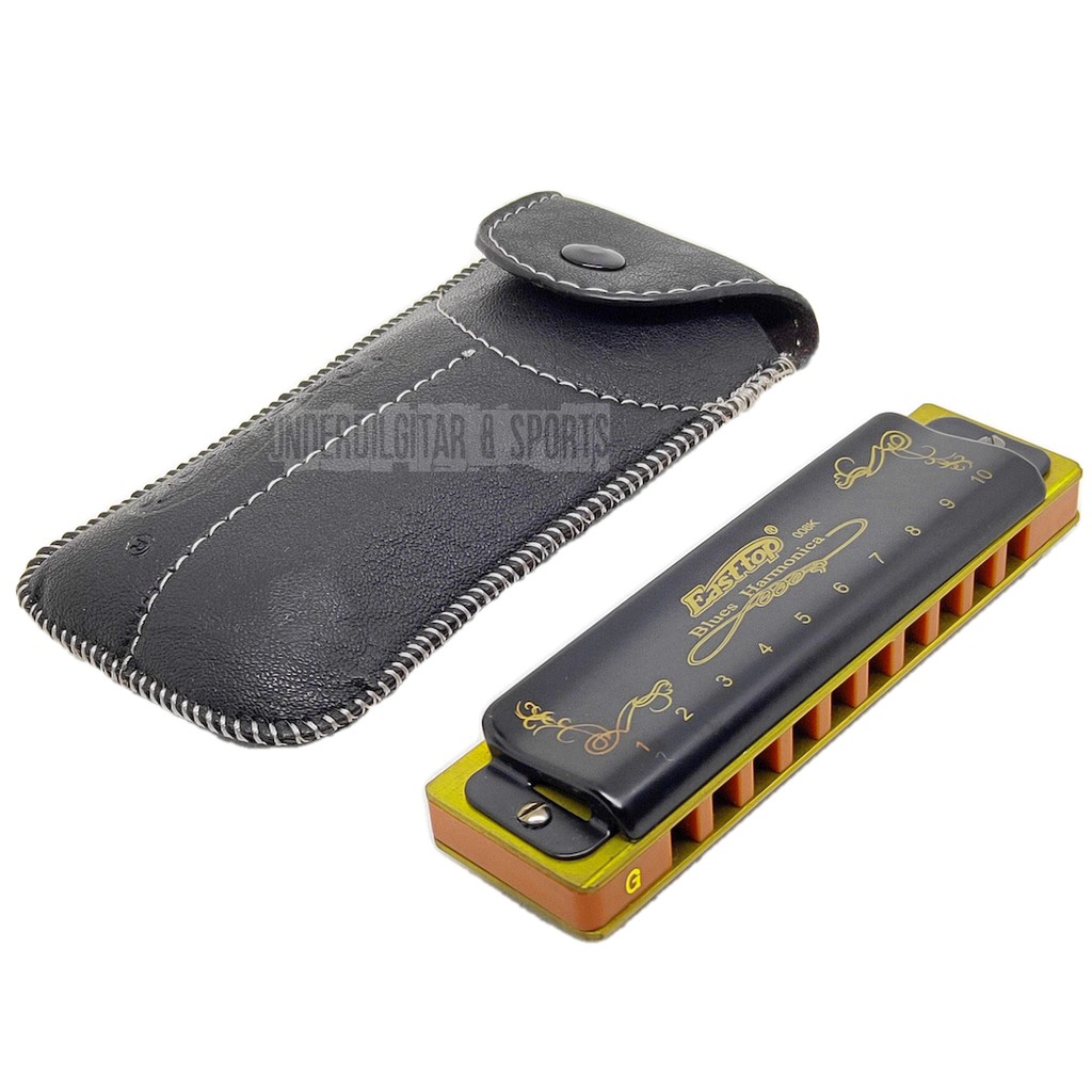 Harmonica Diatonique East Top 10 Trous 20 Tons Avec étui Bleu, Harmonica Standard Pour Les Joueurs Professionnels, Débutants, étudiants, Adultes, Enfants, Enfants, Comme Meilleur Cadeau (T008K-BL-7