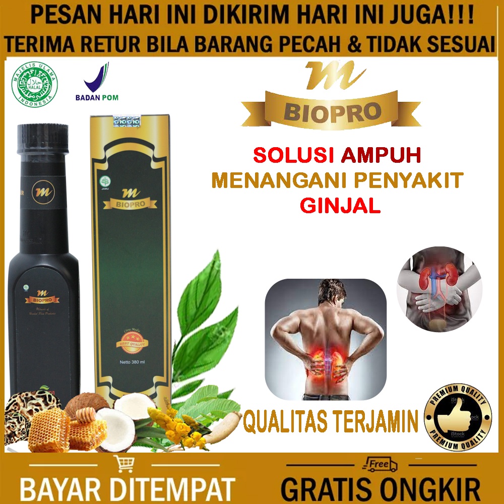 Jual OBAT GINJAL HERBAL L OBAT INFEKSI GINJAL L OBAT GAGAL GINJAL L ...