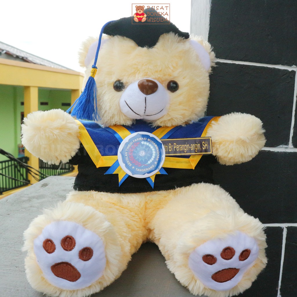 Jual Boneka Wisuda Teddy Bear Murah Hadiah Tedy Bear Kado Wisuda Custom  Beruang ada nama ukuran Sedang | Shopee Indonesia