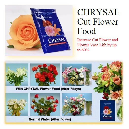 Jual Chrysal Flower Food Chrysal Clear Universal Vitamin Bunga
