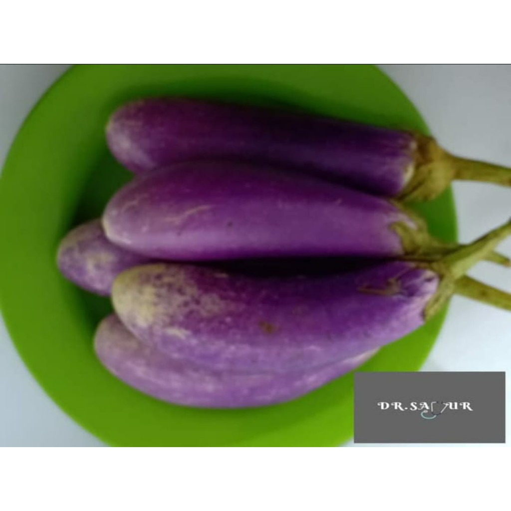 Jual Terong Ungu | Shopee Indonesia