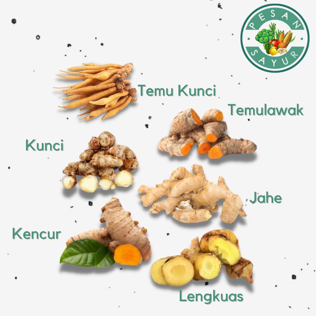 Jual BUMBU DAPUR KENCUR / KUNYIT / JAHE / LENGKUAS / TEMU KUNCI