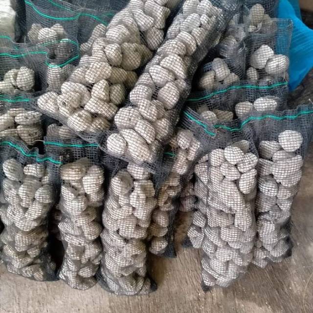 Jual Media filter batu apung pumice rumah bakteri kemasan 40x25cm ...