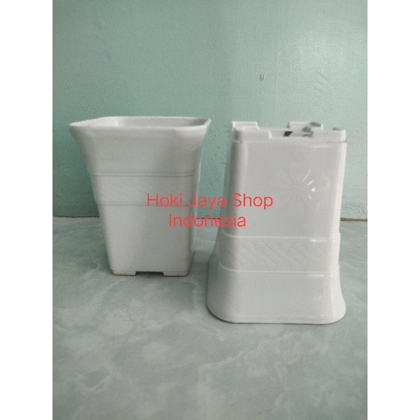 Jual Pot Bunga Kotak Batik 8 Cm Kaktus dan Sekulen | Shopee Indonesia
