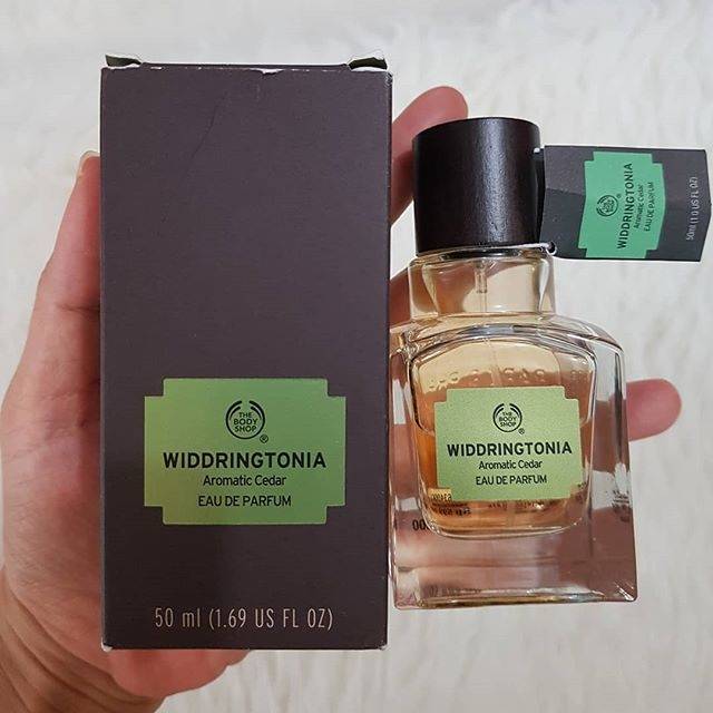 Widdringtonia discount body shop