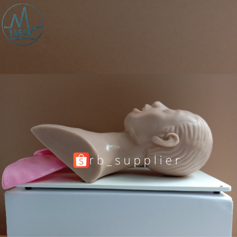 Jual Manikin Intubasi Ett Airway Alat Peraga Pendidikan Kedokteran Phantom Maniken 