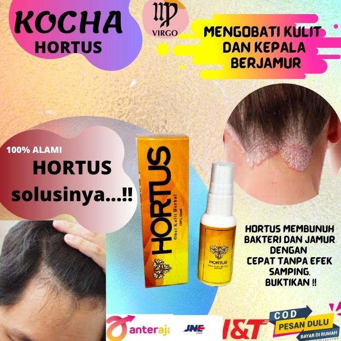 Jual Obat Kulit Kepala Berketombe Ampuh Hortus Antiseptik Disinfektan