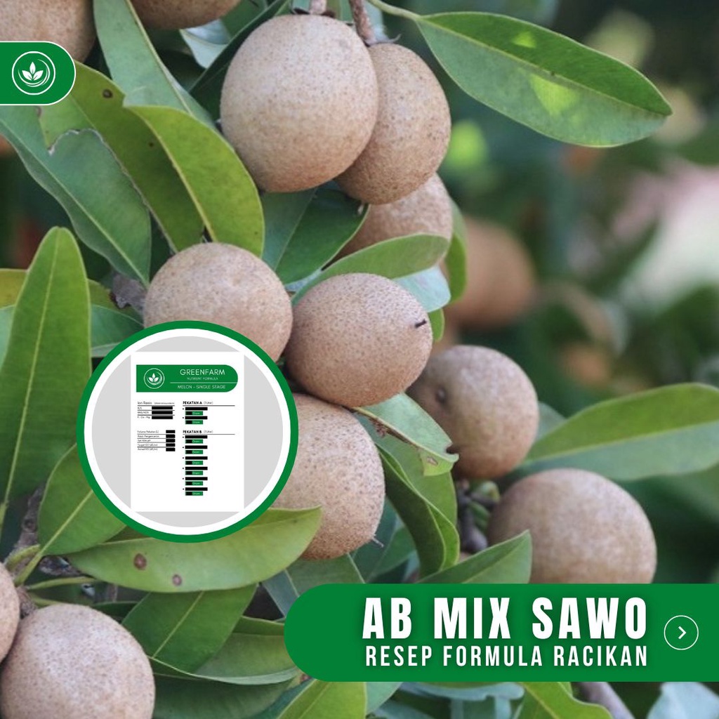 Jual Resep AB Mix Sawo Formula Racikan Nutrisi Buah Sawo | Shopee Indonesia