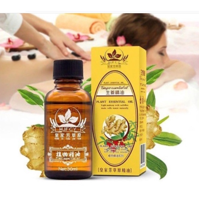 Jual HJFCY Lymphatic Drainage Ginger Essential Oil Plant Therapy