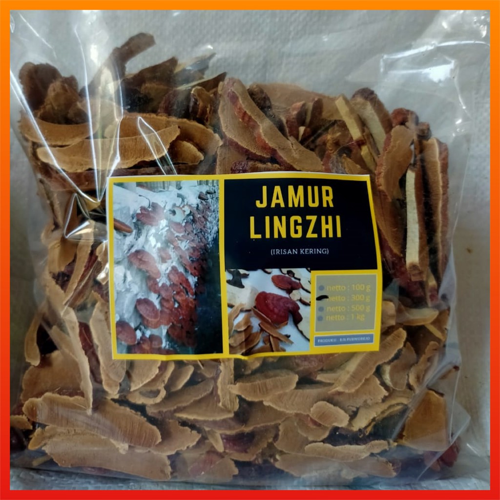 Jual Jamur Ling Zhi Lingzhi Ganoderma Kering 300 gr Shopee Indonesia