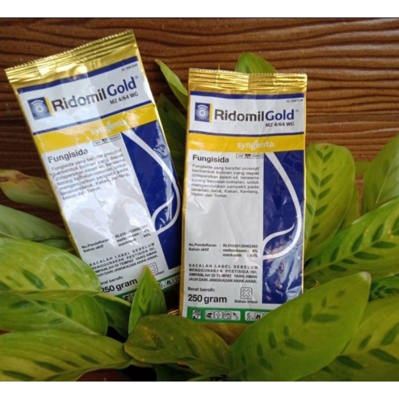 Jual FUNGISIDA RIDOMIL GOLD (250gr) | Shopee Indonesia