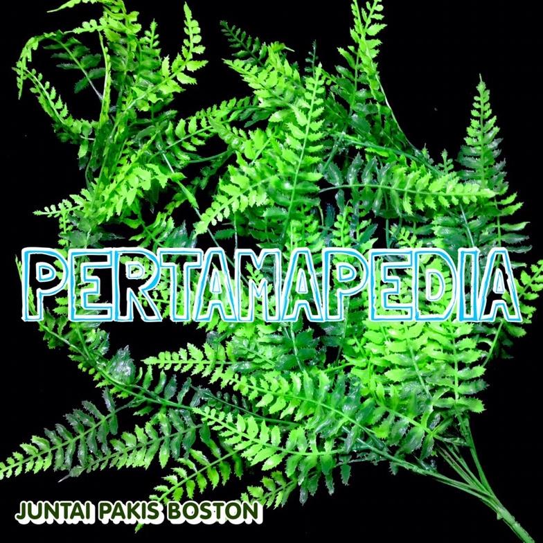 Jual Juntai Pakis Boston/ Bunga Plastik/ Daun Rambat Plastik/ Bunga ...