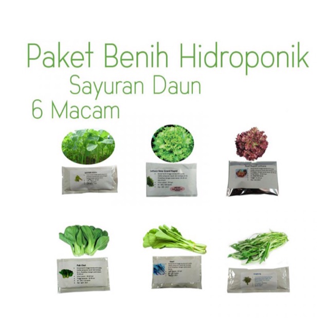 Jual Paket Benih Hidroponik Sayur Daun Shopee Indonesia