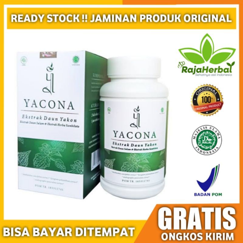 Jual 100 Asli Yacona Obat Herbal Diabetes Gula Darah Insulin Penurun