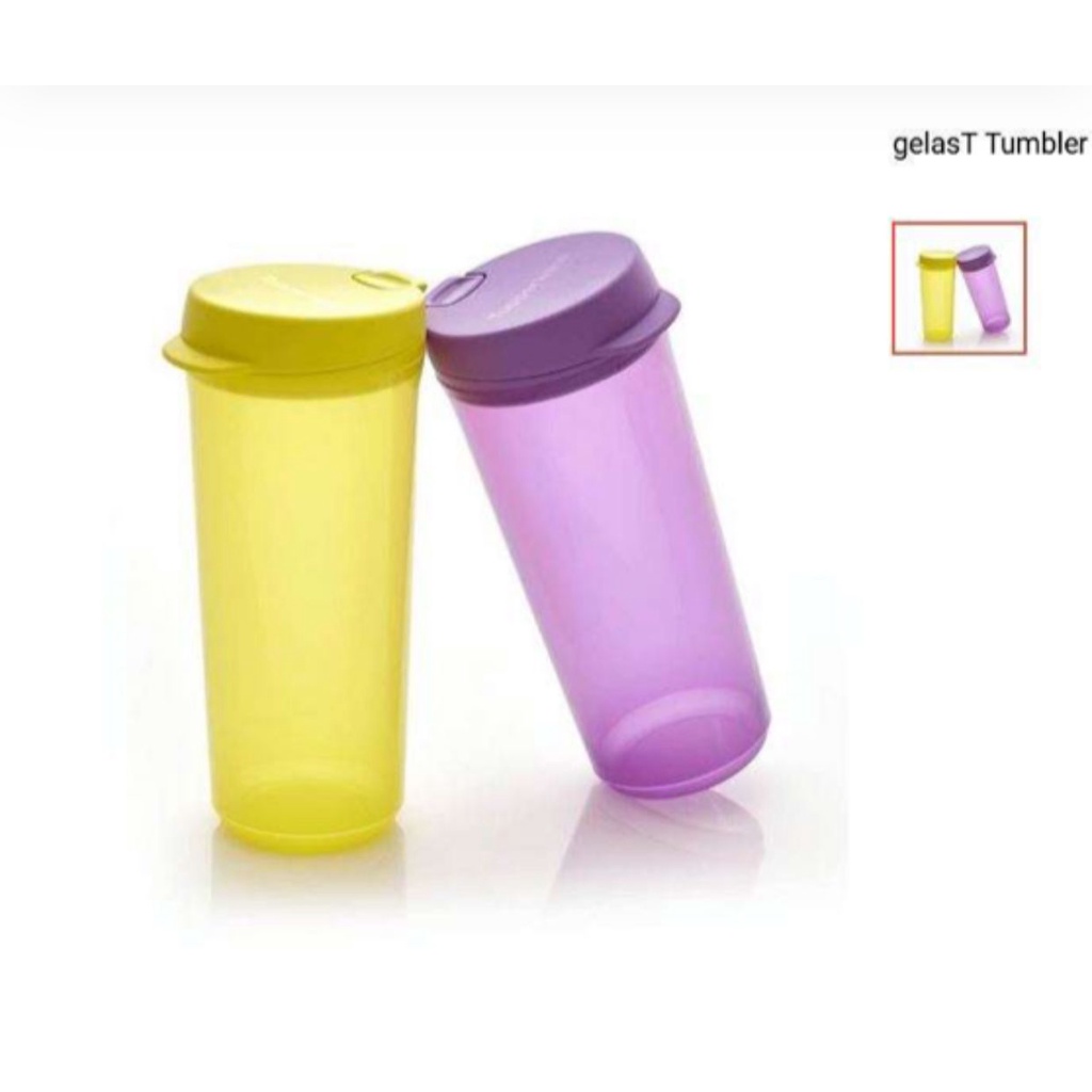 Jual Botol Minum Trendi Estetik Keren Simple T Tumbler dan Drinking ...