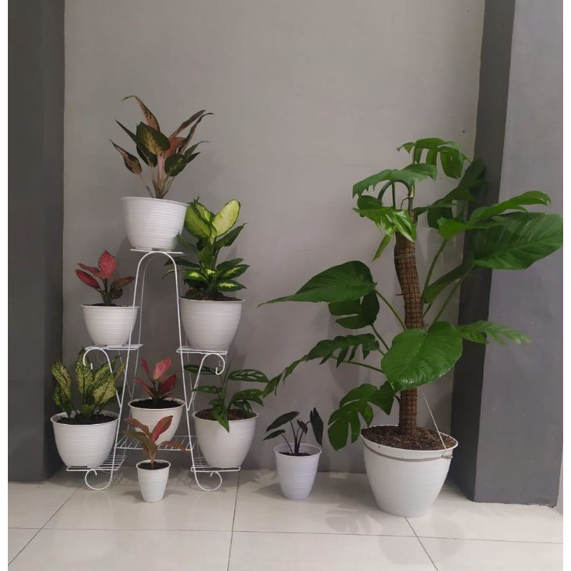 Jual Rak Bunga Kurva Curve Menara Jawa Majapahit Besi Cantik Love 6 ...