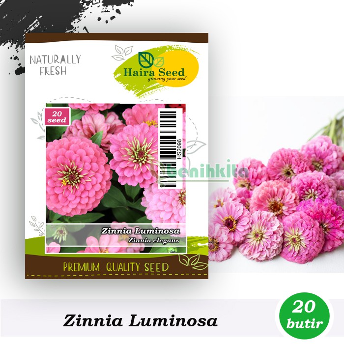 Jual Benih-Bibit Bunga Zinnia Luminosa (Haira Seed) | Shopee Indonesia