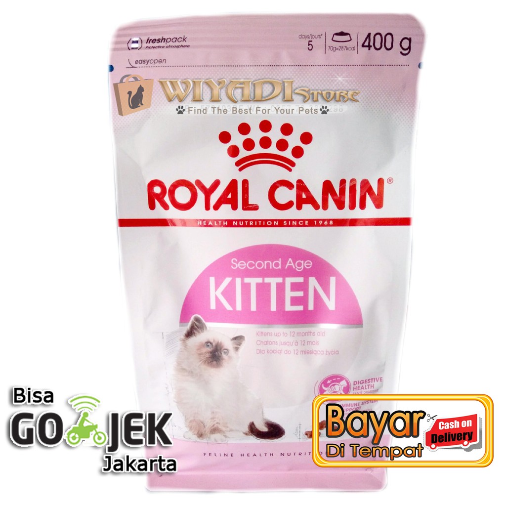 Royal canin best sale kitten persian 32