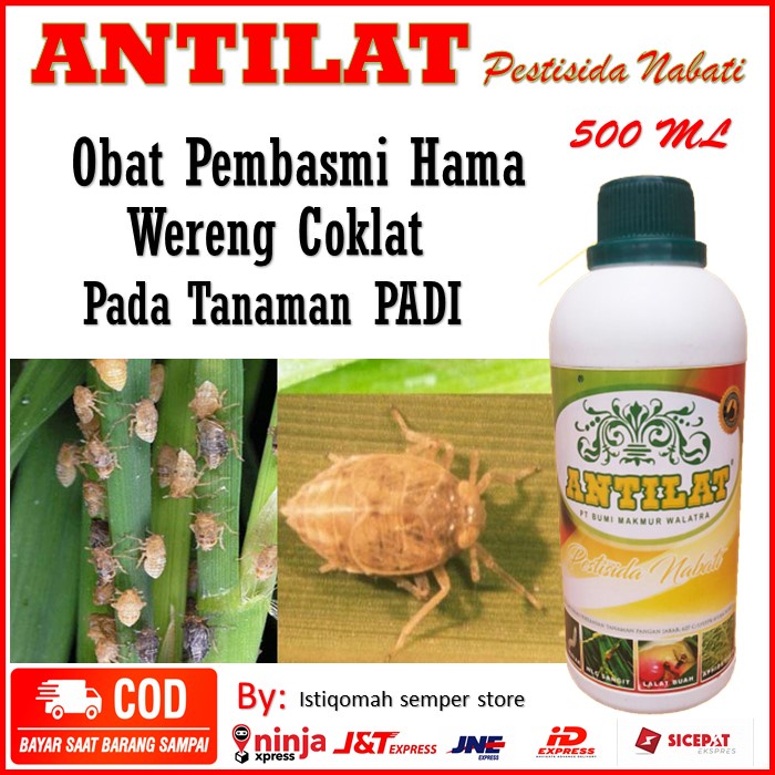 Jual Best Produk Antilat Pestisida Nabati Obat Hama Wereng Coklat