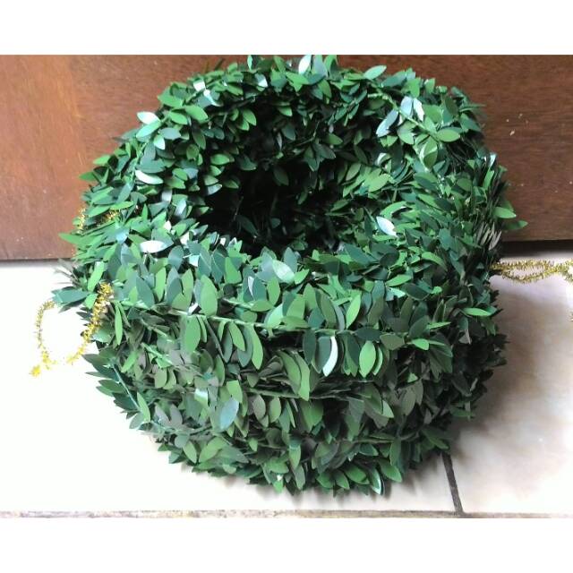 Jual Daun rambat kawat aplikasi per roll | Shopee Indonesia