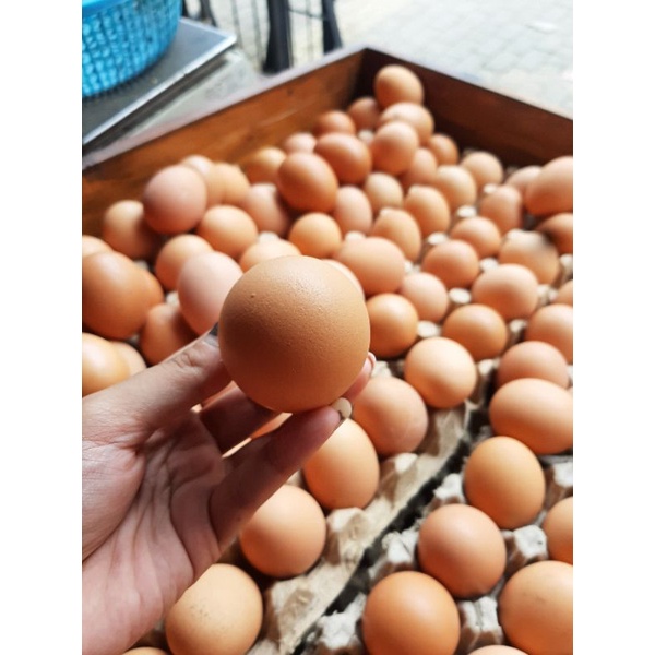 Jual Telur Ayam Negeri Fresh Lokal 1kg Shopee Indonesia 2120