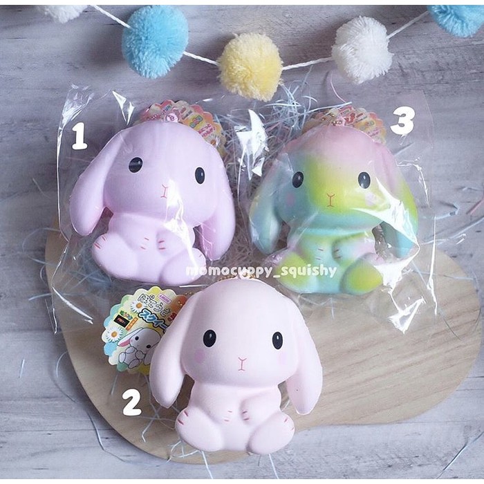 Amuse shop bunny squishy