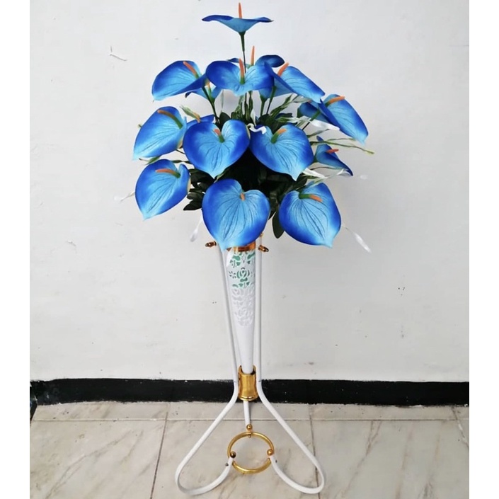 Jual Tanaman Hias Anthurium Mickey Mouse Blue Bunga Hiasan Tanaman Antorium Bunga Hidup Tanaman