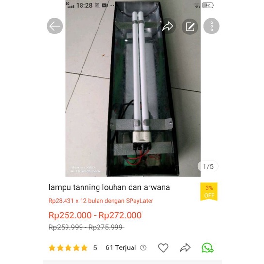 Jual Lampu Tanning Louhan Dan Arwana Shopee Indonesia