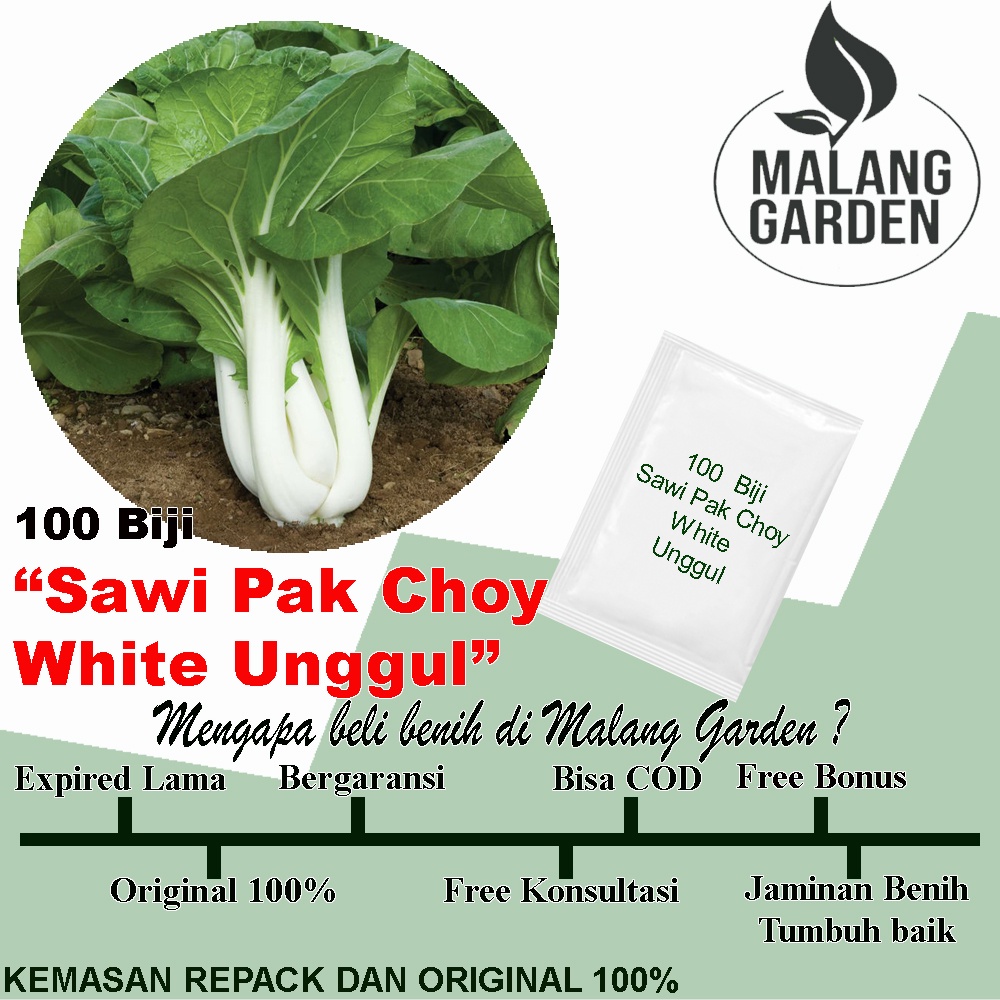 Jual 100 Biji Benih Sawi Pak Choy White Shopee Indonesia