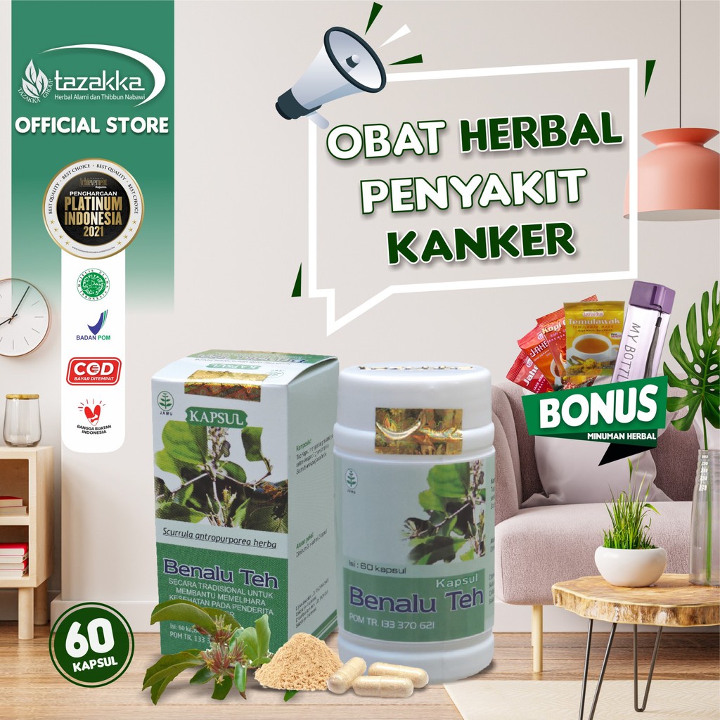 Jual Benalu Teh Asli Ekstrak Herbal Tazakka Original Halal Bpom Isi Kapsul Obat Kanker