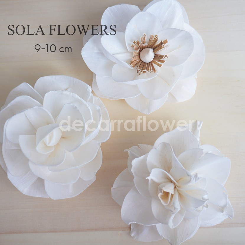 Jual Sola Flower / Sola Wood Reed Diffuser / Bunga Sola 9-10CM | Shopee ...