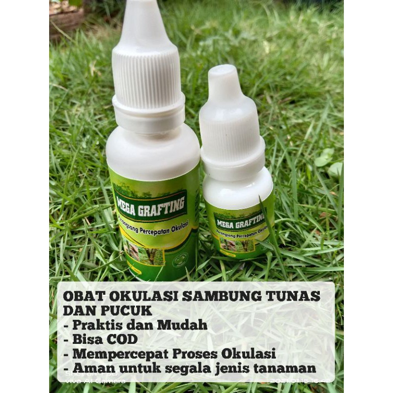 Jual Mega Grafting 30ml Obat Okulasi Sambung Pucuk Tunas Pohon Bibit