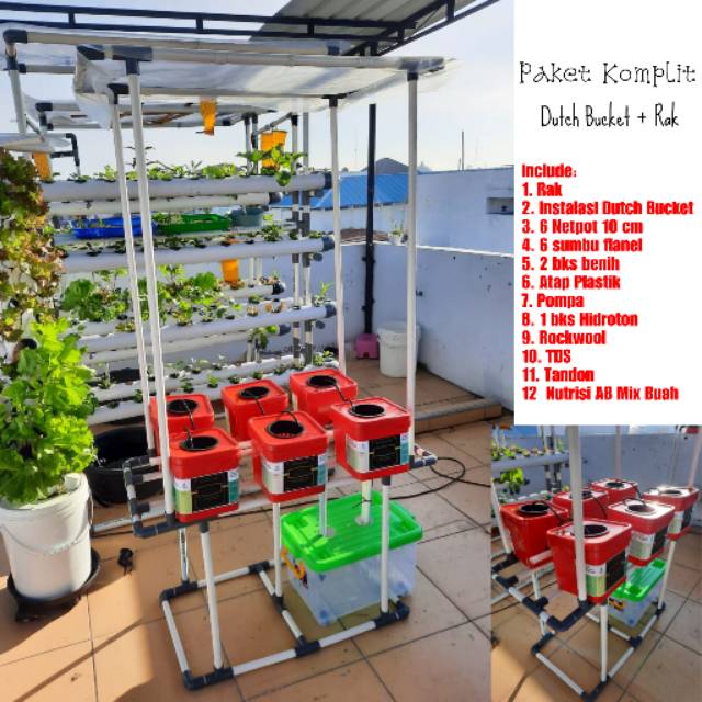 Jual Hidroponik Dutch Bucket Shopee Indonesia