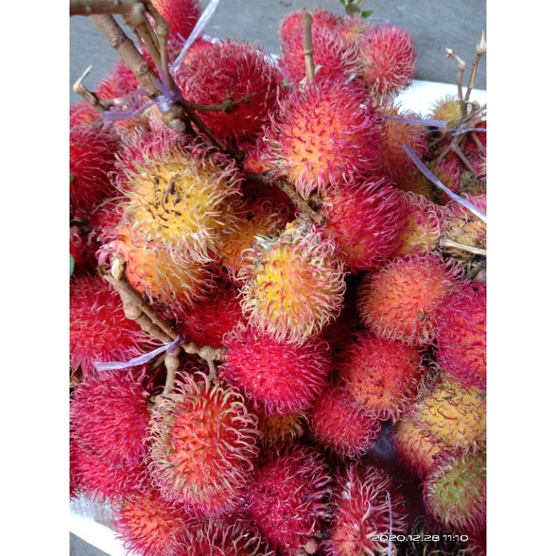 Jual rambutan manis kuyakan | Shopee Indonesia