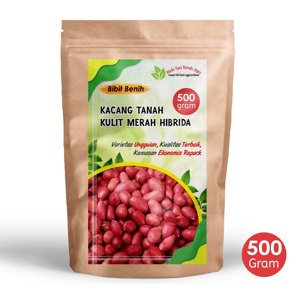 Jual Bibit Benih Kacang Tanah Super Kulit Merah Kemasan Jumbo 500 Gram