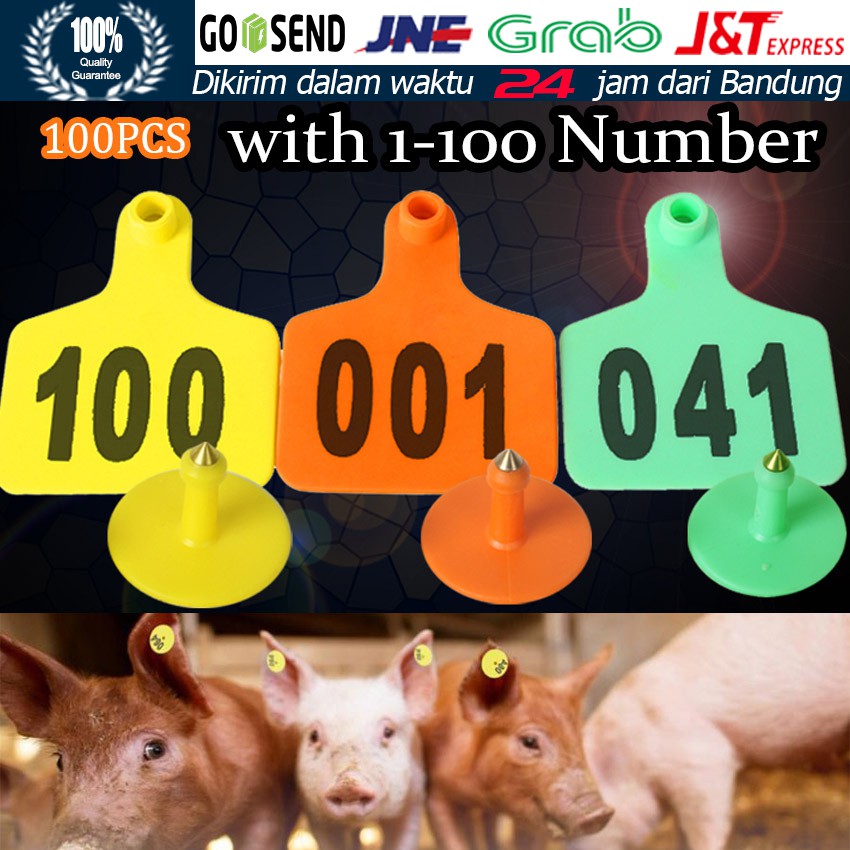 Jual Persediaan Hewan Ternak Ternak No.001-100 Babi Domba Sapi Telinga ...