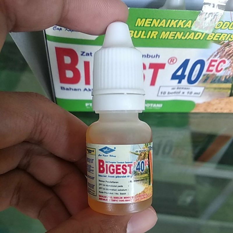 Jual Bigest 40 Ec Zat Pengatur Tumbuh Kemasan 10 ml Shopee Indonesia