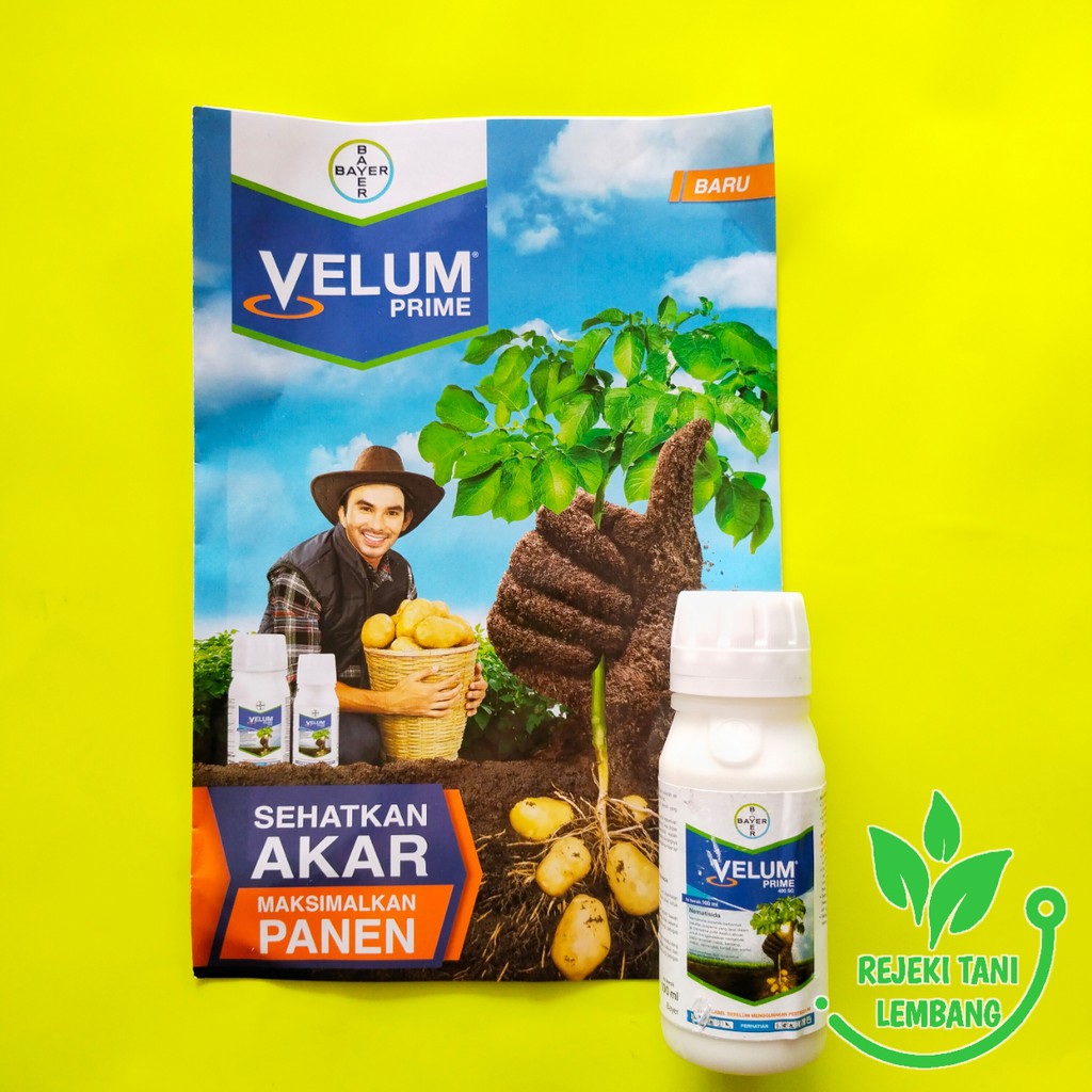 Jual NEMATISIDA VELUM PRIME 400 SC 100 ML PENGENDALI NEMATODA | Shopee ...