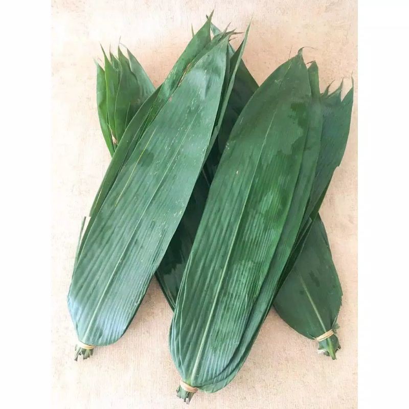 Jual Daun Bambu Bacang Segar 150 Lembar Murah Shopee Indonesia