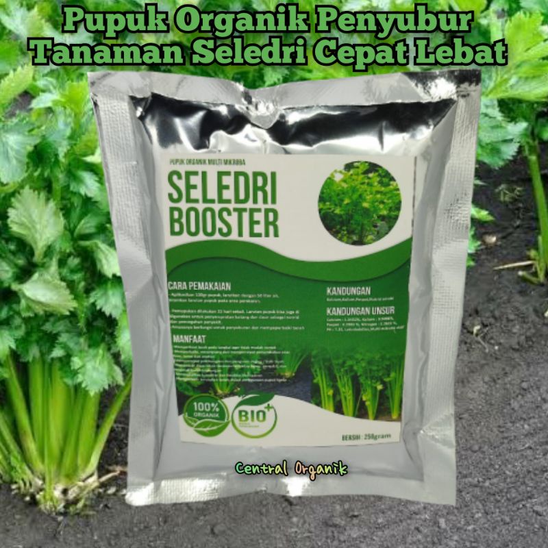Pupuk Organik Daun Seledri Pupuk Seledri Cepat Lebat Pupuk Khusus Tanaman Seledri Pupuk Penyubur Daun Selederi