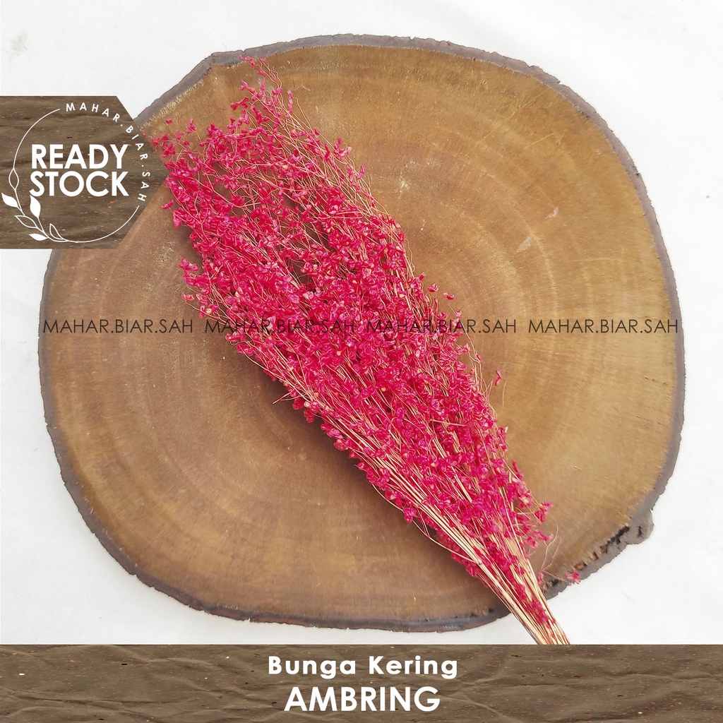 Jual RS 3 Gr Bunga Kering Ambring / Mruton / Springkel / Wildery grass ...
