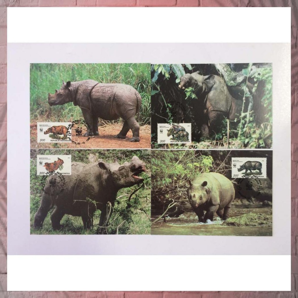 Jual Max Card Wwf Javan & Sumatran Rhinoceros 1996 Indonesia | Shopee