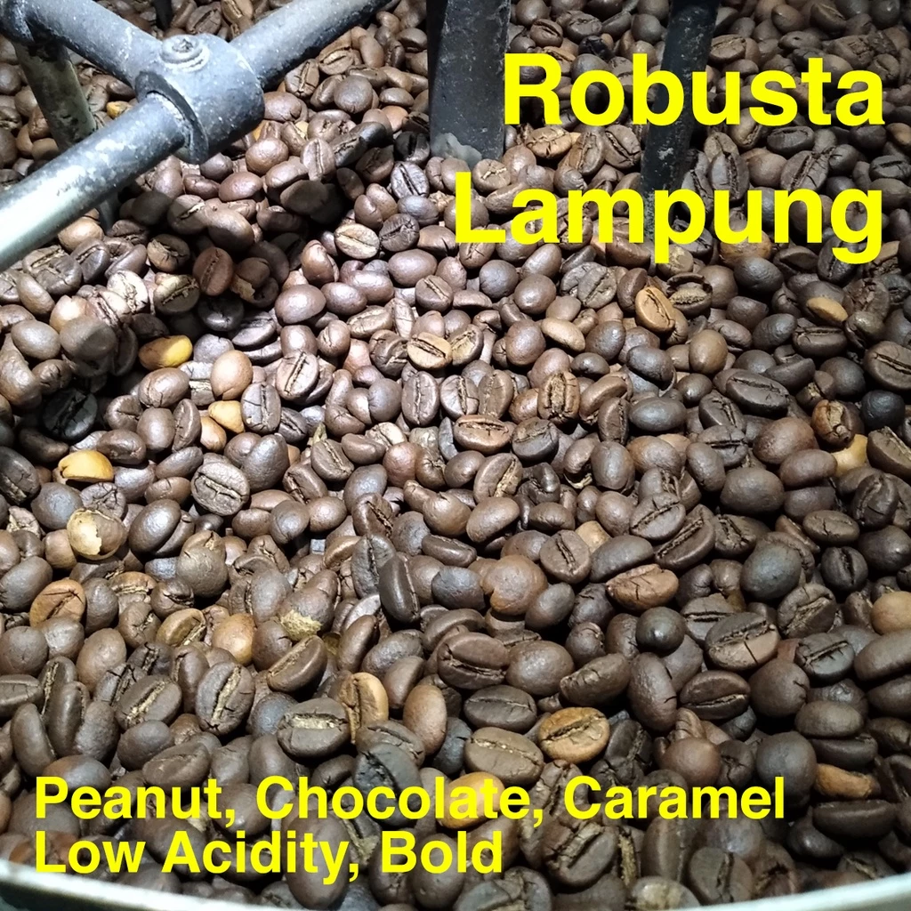 ROBUSTA LAMPUNG