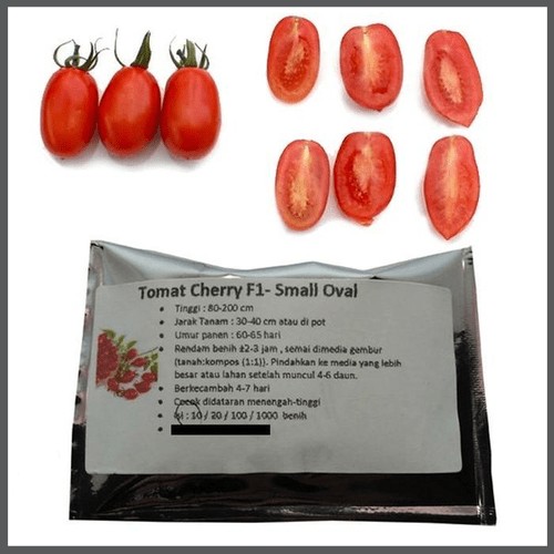 Jual Tomato Cherry F1-Red Oval- 1000 benih | Shopee Indonesia